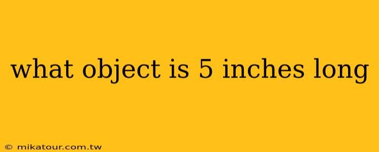 what object is 5 inches long