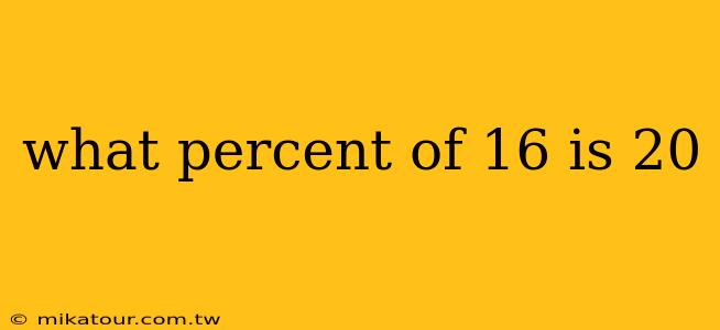 what percent of 16 is 20