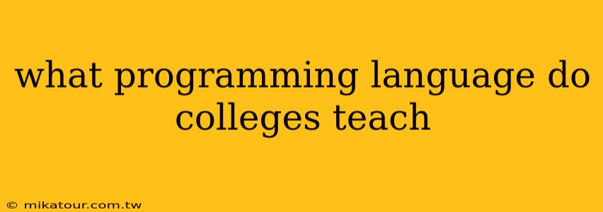 what programming language do colleges teach