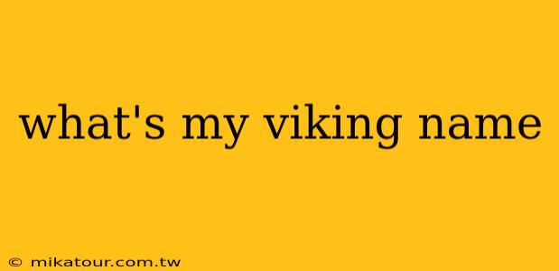 what's my viking name