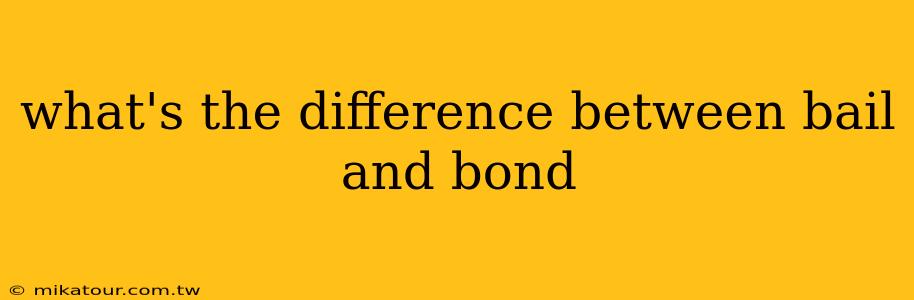 what's the difference between bail and bond