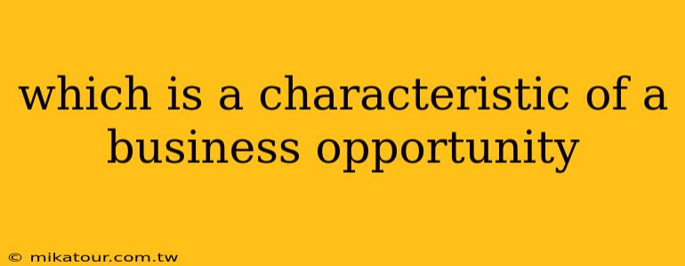 which is a characteristic of a business opportunity