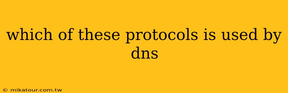 which of these protocols is used by dns