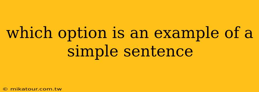 which option is an example of a simple sentence