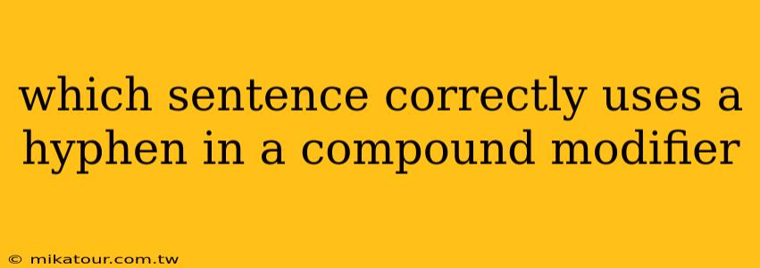 which sentence correctly uses a hyphen in a compound modifier