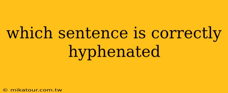 which sentence is correctly hyphenated