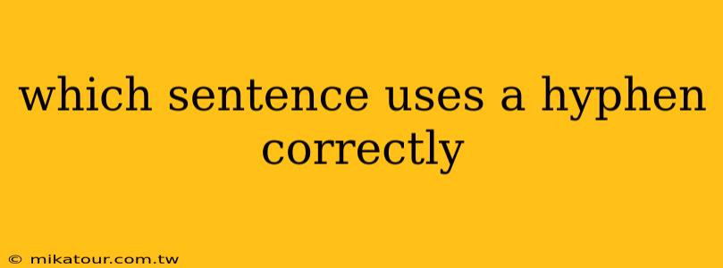 which sentence uses a hyphen correctly