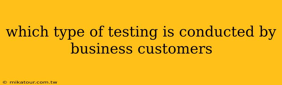 which type of testing is conducted by business customers