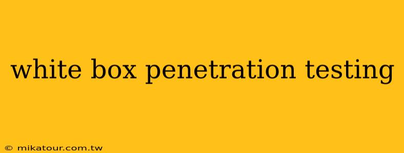 white box penetration testing