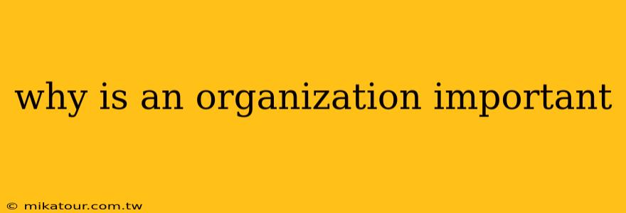 why is an organization important