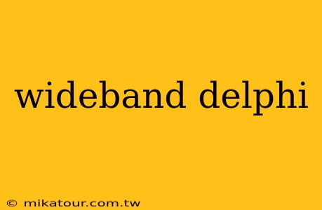 wideband delphi