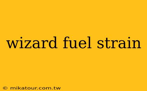 wizard fuel strain