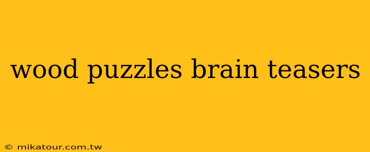 wood puzzles brain teasers