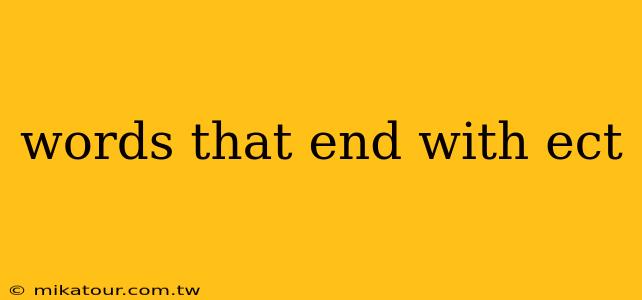 words that end with ect