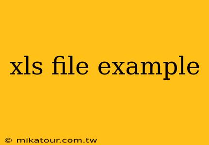 xls file example