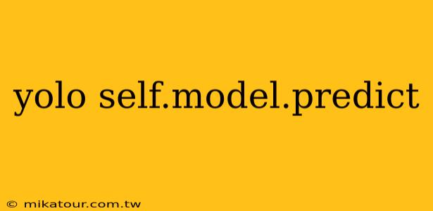 yolo self.model.predict