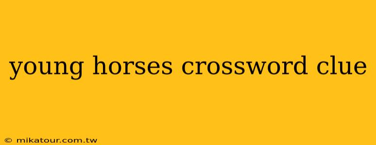 young horses crossword clue