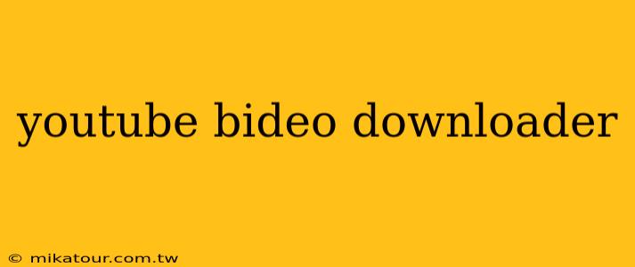 youtube bideo downloader