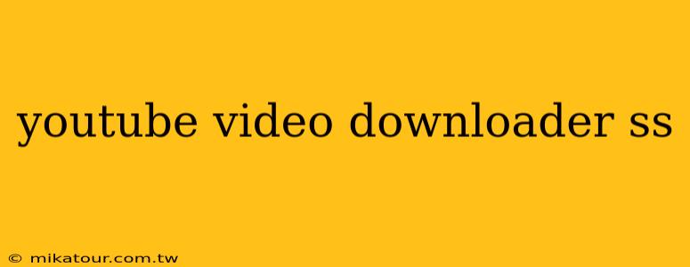 youtube video downloader ss